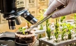 Biotech-Dissertation-Writing-Services Biotech-Dissertation-Writing-Services